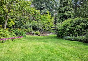 Optimiser l'expérience du jardin à Escueillens-et-Saint-Just-de-Belengard